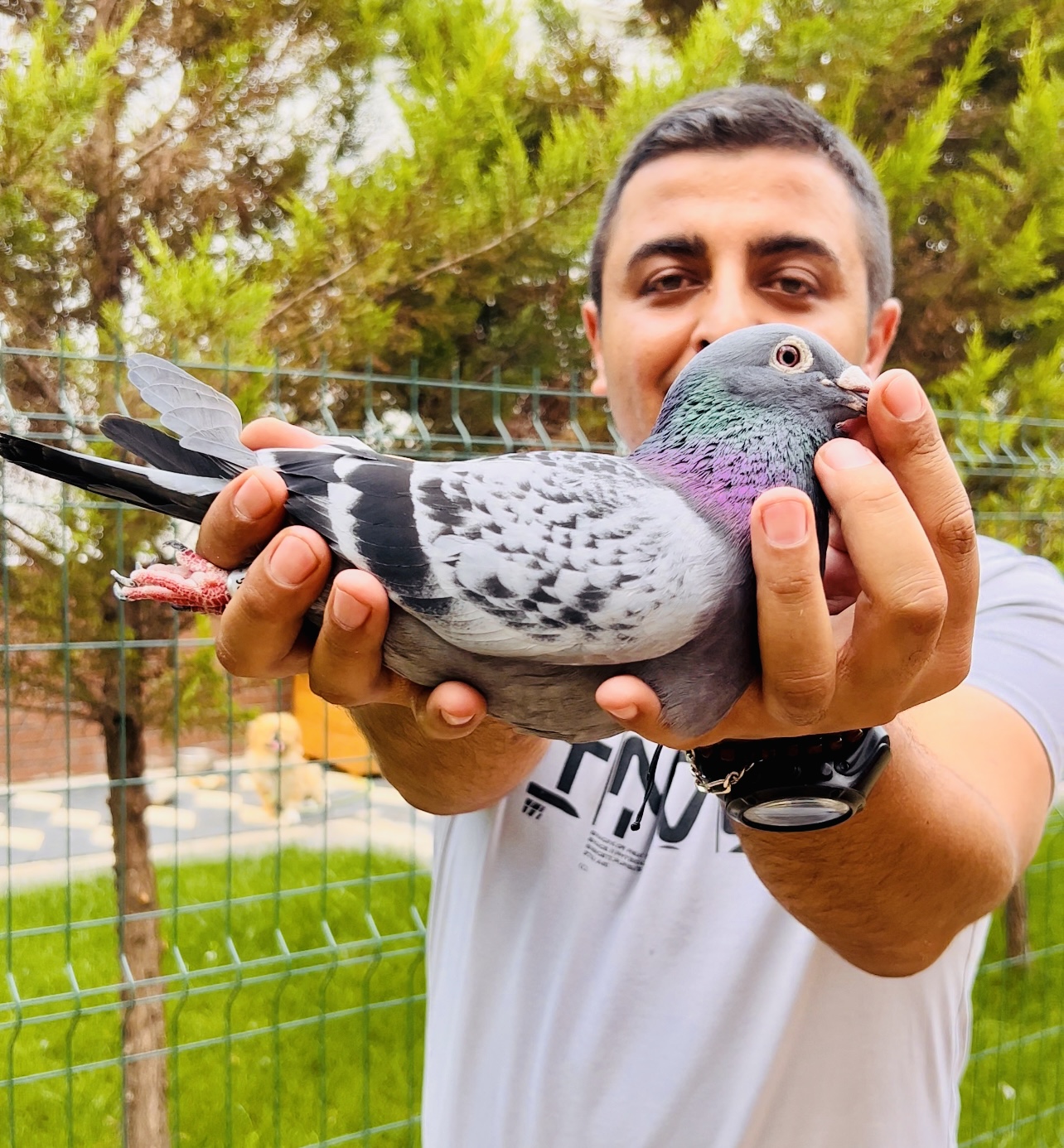 KOSELOFT CENK KÖSE 